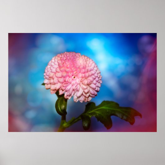 ブリュテンザウバー ポスター (正面)