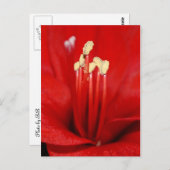 ブリュテンスタウブ ポストカード (正面/裏面)