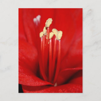 ブリュテンスタウブ ポストカード