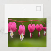 ブリュテンデトレネンデンヘルズンズ ポストカード (正面/裏面)