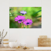 ブリュテントラウム ポスター (キッチン)