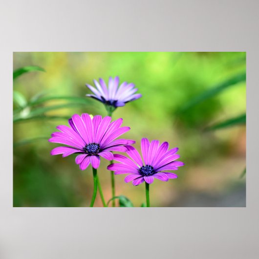 ブリュテントラウム ポスター (正面)