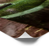 ブリュージュのボニファキウス橋 ポスター (コーナー)