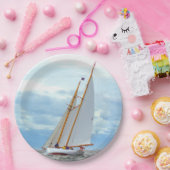 ブリリアントのアウトバウンド ペーパープレート (パーティー)