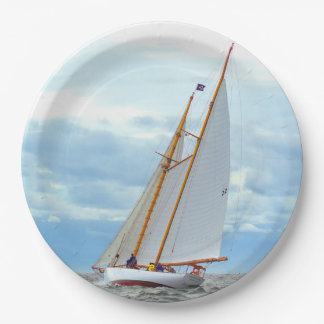 ブリリアントのアウトバウンド ペーパープレート