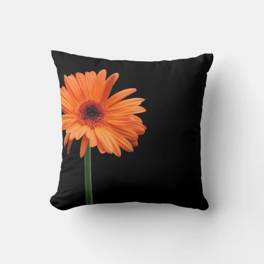 ブリリアントオレンジオンブラック クッション (正面)