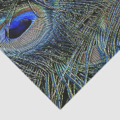 ブリリアントカラーピーコックフェザーズブルー金ゴールド 薄葉紙 (詳細)