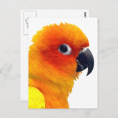 ブリリアントサンコンア ポストカード (正面/裏面)