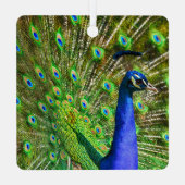 ブリリアントブルーピーコックメタルオーナメント メタルオーナメント (裏面)