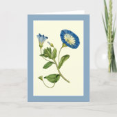 ブリリアントブルーモーニンググローリーつる植物 空白の カード (正面)