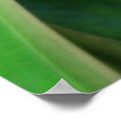 ブリリアントヘリコニア ポスター (角)