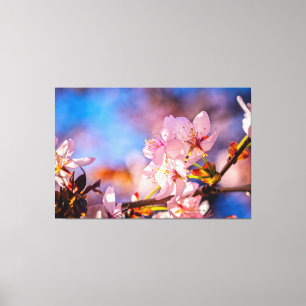 ブリリアント桜の花 キャンバスプリント