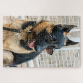 ブリンケド牧師アレマオ ジグソーパズル (横)