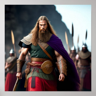 ブリンジャールザバイキング ポスター