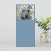 ブリンドルピットブルパピーby Shirley Taylor (スタンド正面)