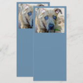 ブリンドルピットブルパピーby Shirley Taylor (正面/裏面)