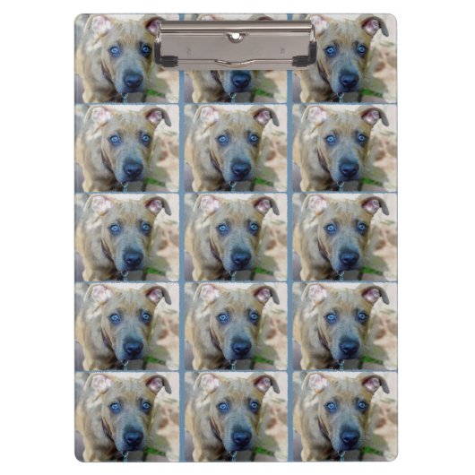 ブリンドルピットブルパピーby Shirley Taylor クリップボード (正面)