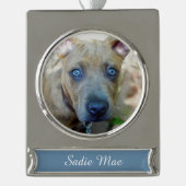 ブリンドルピットブルパピーby Shirley Taylor シルバープレートバナーオーナメント (正面)
