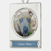 ブリンドルピットブルパピーby Shirley Taylor シルバープレートバナーオーナメント (左)