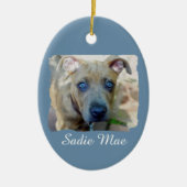 ブリンドルピットブルパピーby Shirley Taylor セラミックオーナメント (正面)