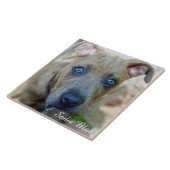 ブリンドルピットブルパピーby Shirley Taylor タイル (側面)