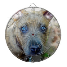 ブリンドルピットブルパピーby Shirley Taylor