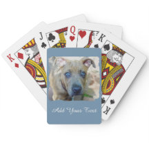 ブリンドルピットブルパピーby Shirley Taylor