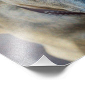 ブリンドルピットブルパピーby Shirley Taylor フォトプリント (角)