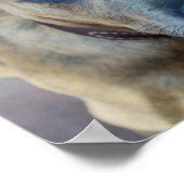 ブリンドルピットブルパピーby Shirley Taylor ポスター (角)