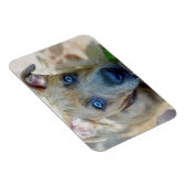 ブリンドルピットブルパピーby Shirley Taylor マグネット (右側)