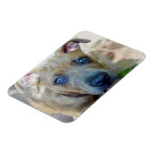 ブリンドルピットブルパピーby Shirley Taylor マグネット (左側)