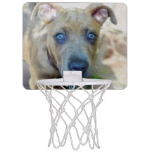 ブリンドルピットブルパピーby Shirley Taylor