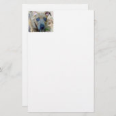 ブリンドルピットブルパピーby Shirley Taylor 便箋 (正面/裏面)