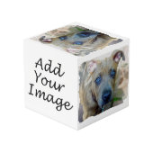 ブリンドルピットブルワンピーバイシャーリーテイラー フォトキューブ (裏面アングル)