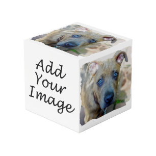 ブリンドルピットブルワンピーバイシャーリーテイラー フォトキューブ