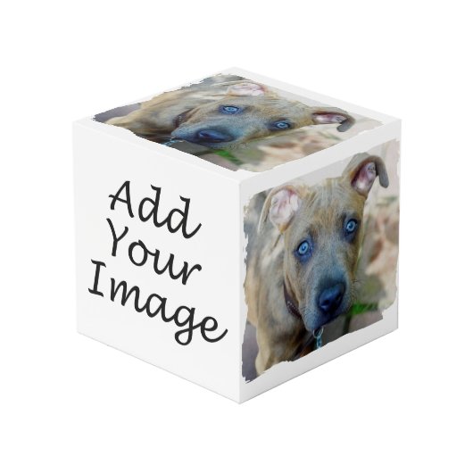 ブリンドルピットブルワンピーバイシャーリーテイラー フォトキューブ (正面アングル)