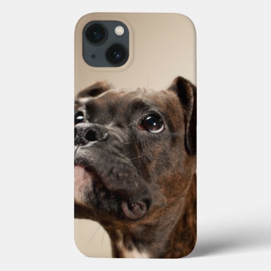 ブリンドルボクサーの子犬が不思議そうに見上げる。 Case-Mate iPhoneケース (裏面)