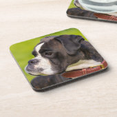 ブリンドルボクサーの子犬 コースター (左側)