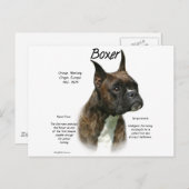 ブリンドルボクサーの歴史 ポストカード (正面/裏面)