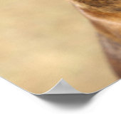 ブリンドルボクサー犬 ポスター (角)