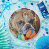 ブリンドルボストンテリア紙プレート ペーパープレート (パーティー)