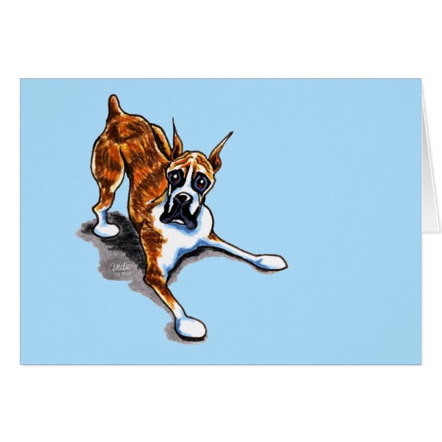 ブリンドル・ボクサー・遊ワン (正面横)