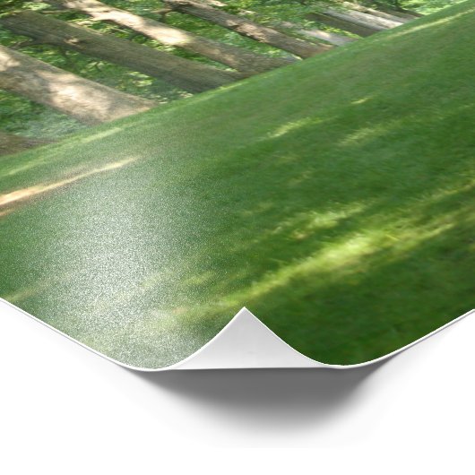 ブリンマーワーカレッジ写真プリントシニア列の木 フォトプリント (角)