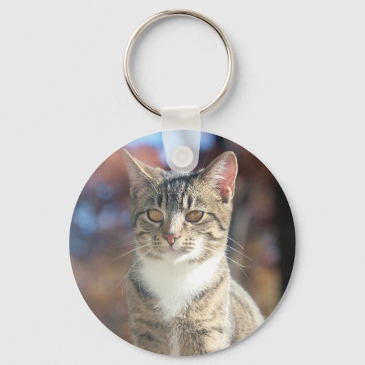 ブリン キーホルダー (正面)