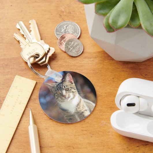 ブリン キーホルダー (デスク)