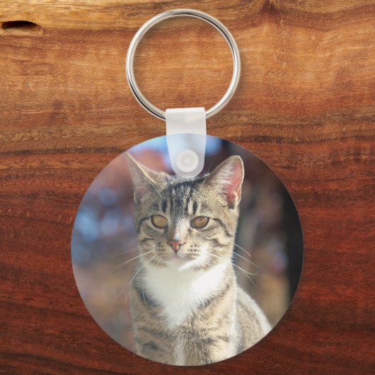 ブリン キーホルダー (正面)