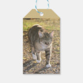 ブリン ギフトタグ (正面)