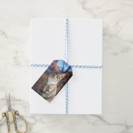 ブリン ギフトタグ (より糸付き)