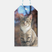 ブリン ギフトタグ (正面)