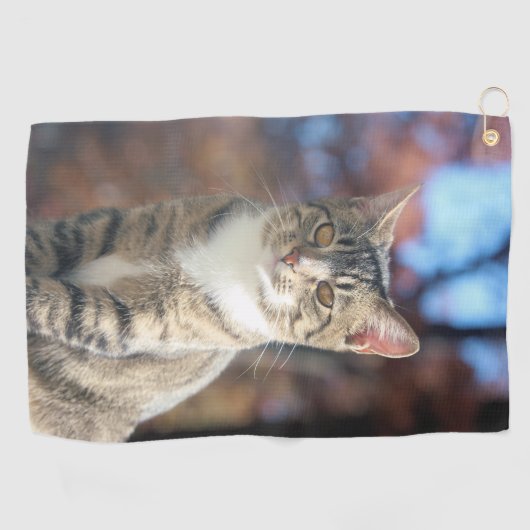 ブリン ゴルフタオル (横)